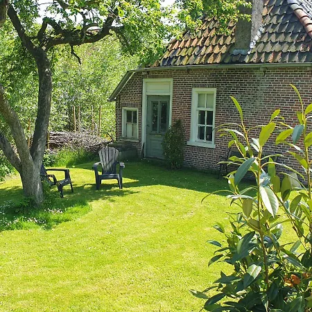 Fakânsjehûs Sfeervol met fijne tuin-2